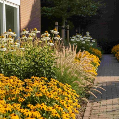 Mélange Lueur d’Automne