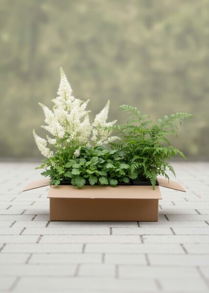 Mélange Charme de la Forêt