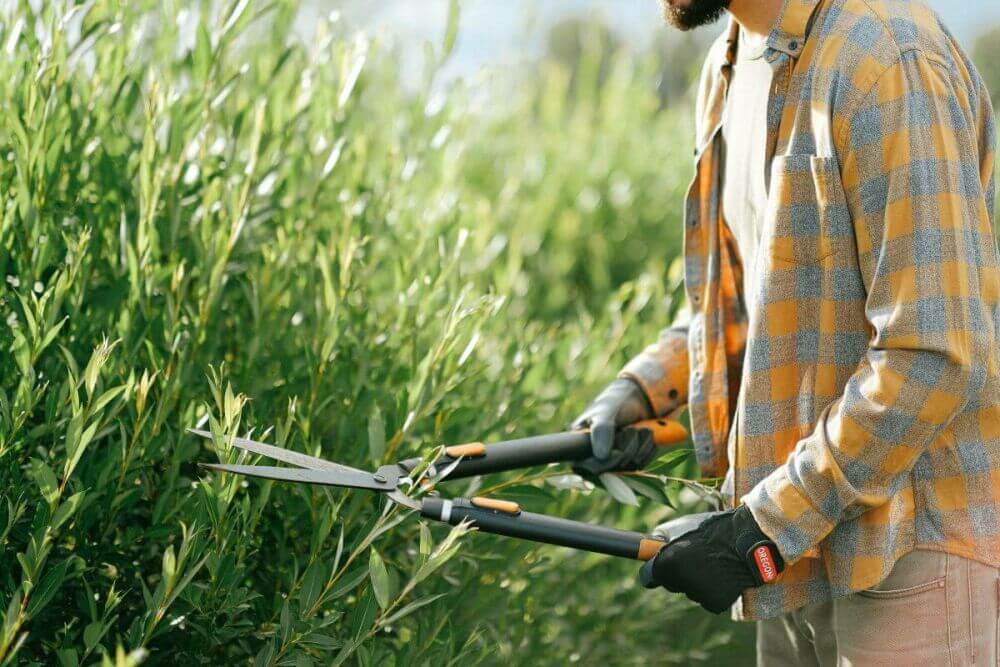 Quels outils de jardinage utilisez-vous pour les plantes de haies ?