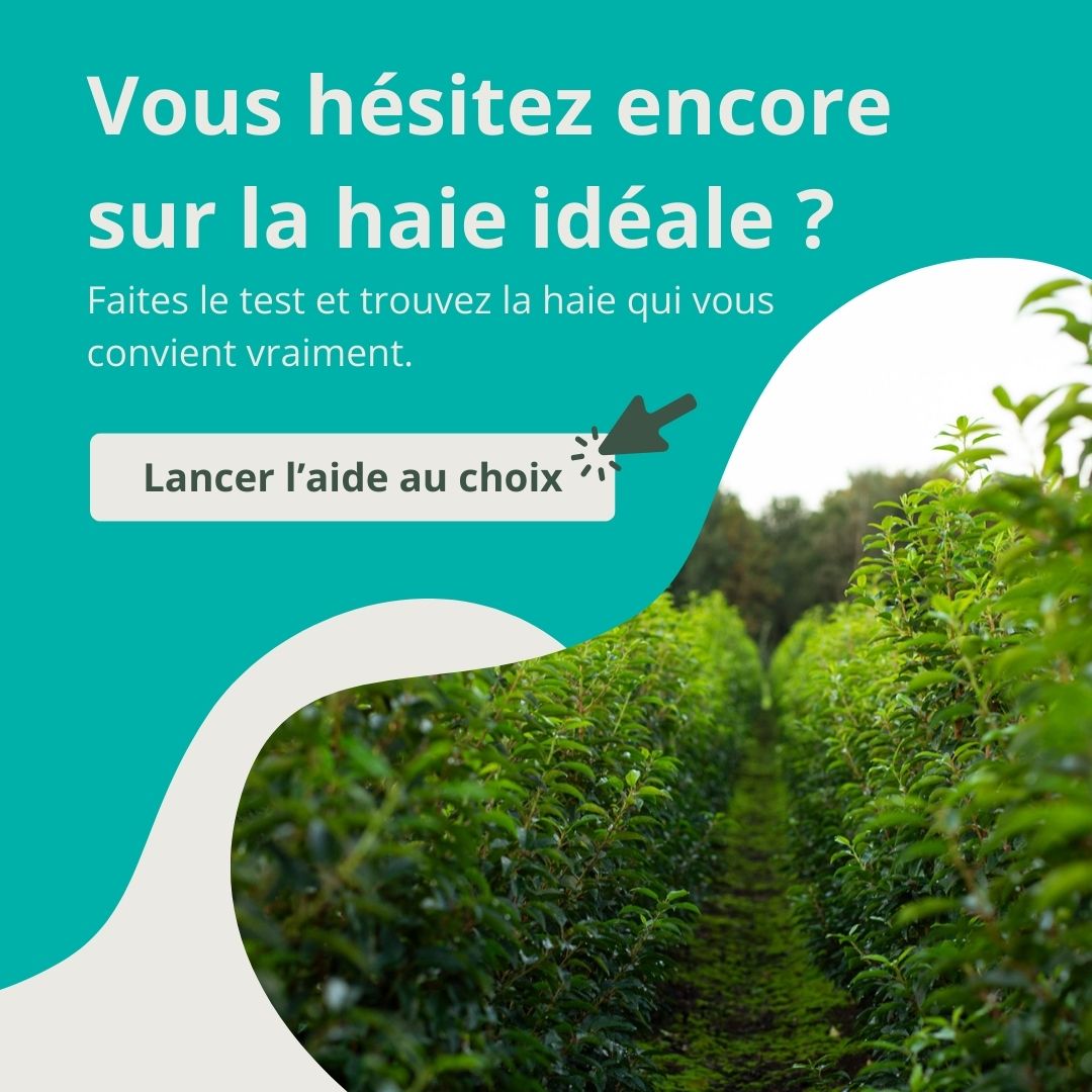 Lancer l’aide au choix