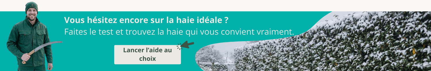 Aide à la décision